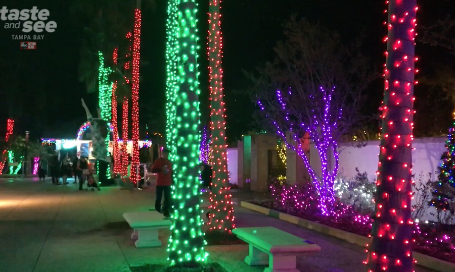 PHOTOS Christmas lights at the Florida Botanical Gardens in Largo